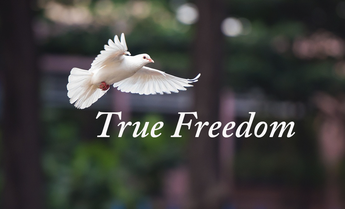 What is true freedom ? Can you explain it's difference from the western ...
