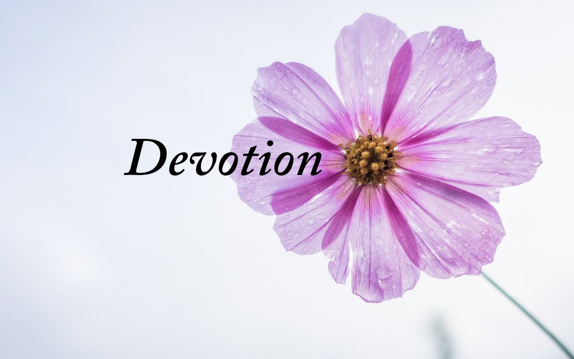 What is Sri Aurobindo's and The Mother's position on path of Devotion💮 ...