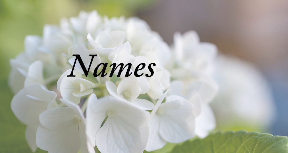 Why do we have Names? ๐ - Ask Alok Da