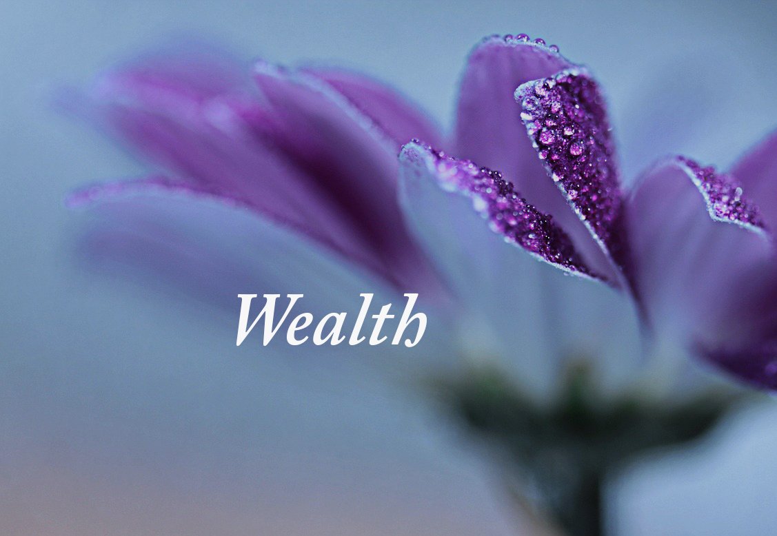 Is the pursuit of brand names, company prestige, or wealth as a sign of ...